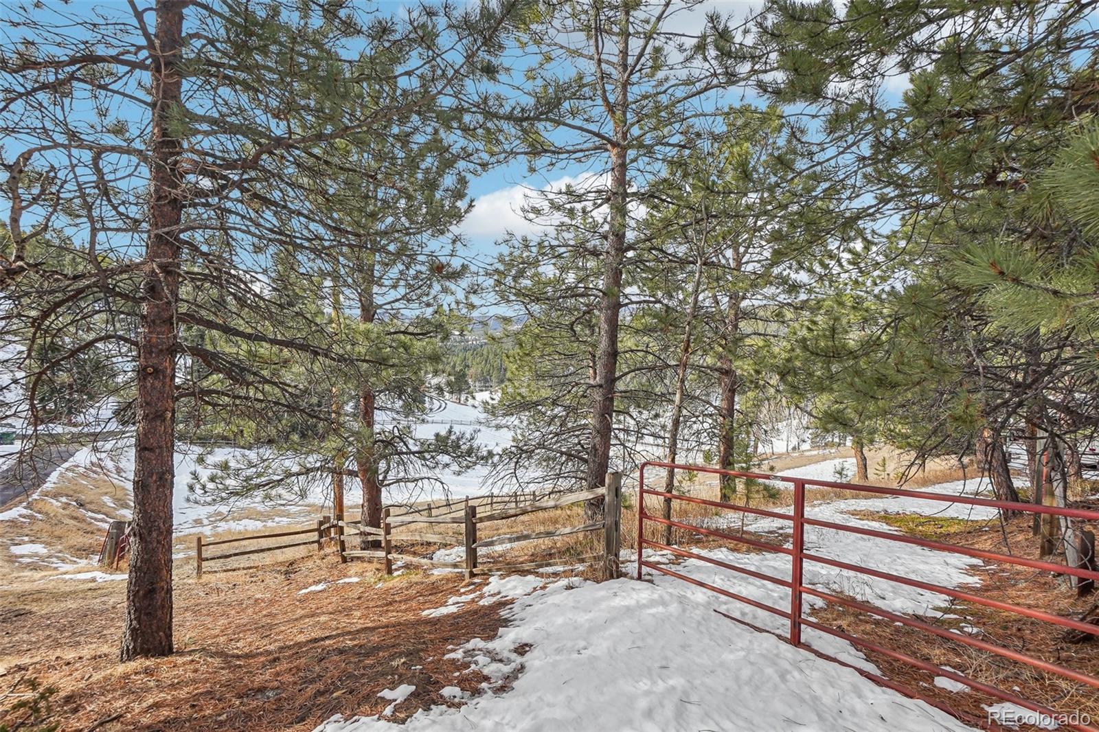 MLS Image #43 for 29477  blue moon drive,evergreen, Colorado