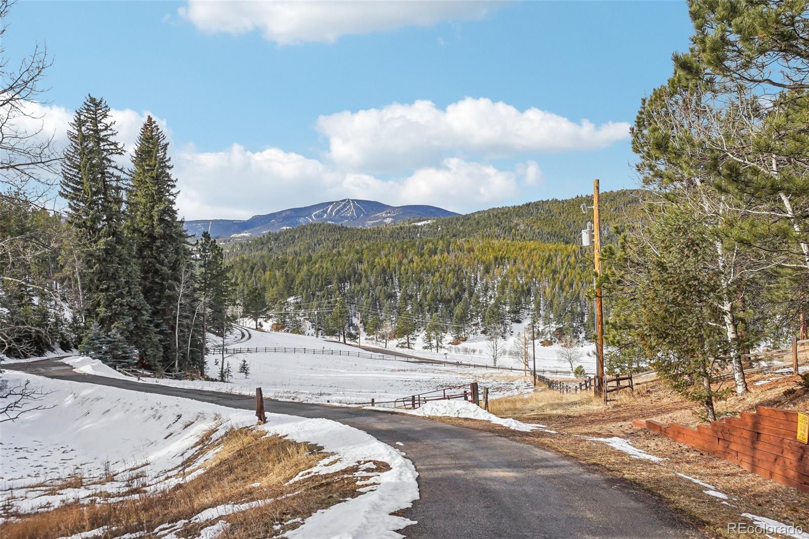 MLS Image #44 for 29477  blue moon drive,evergreen, Colorado