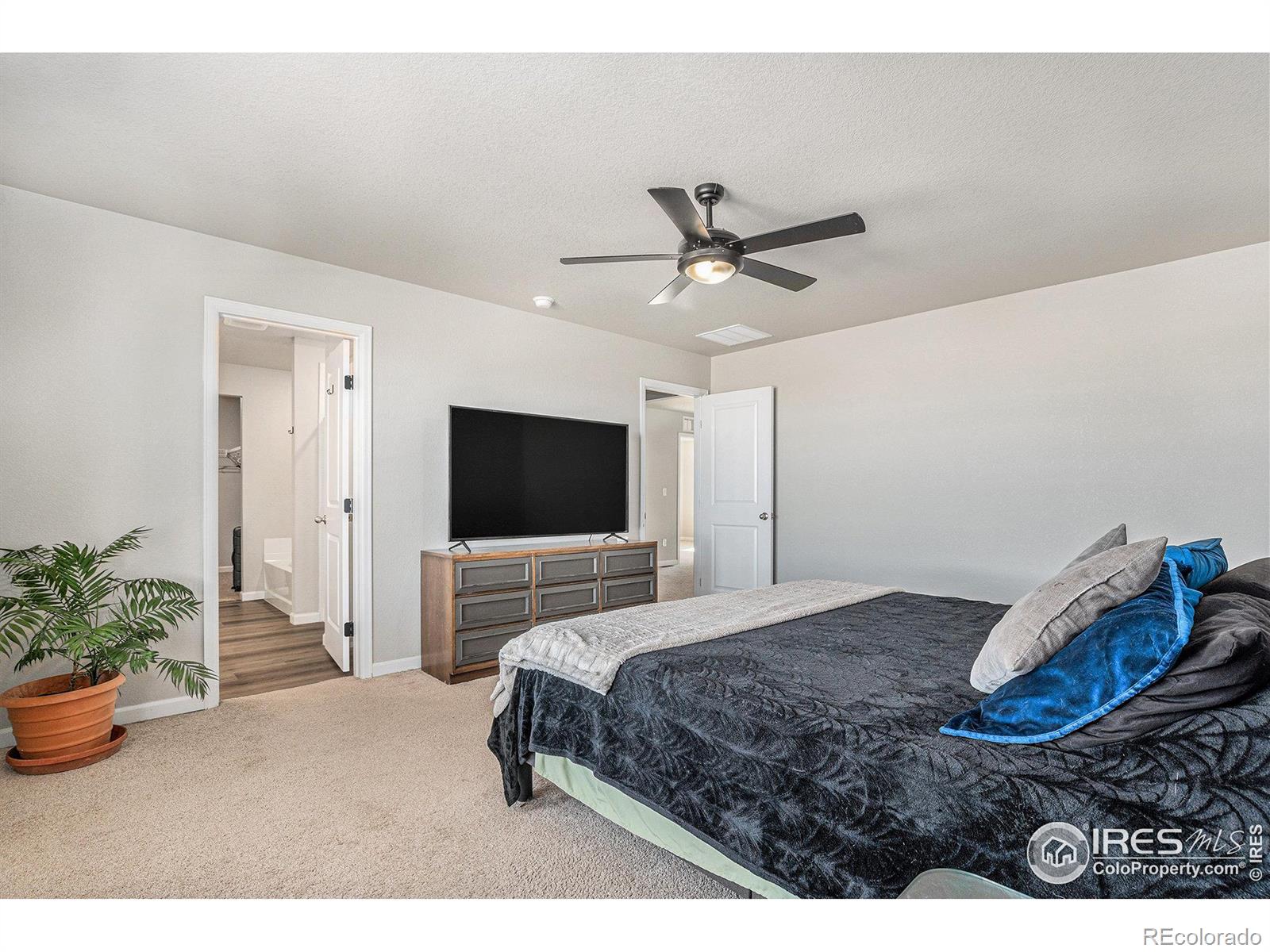 MLS Image #13 for 2539  alto street,fort lupton, Colorado