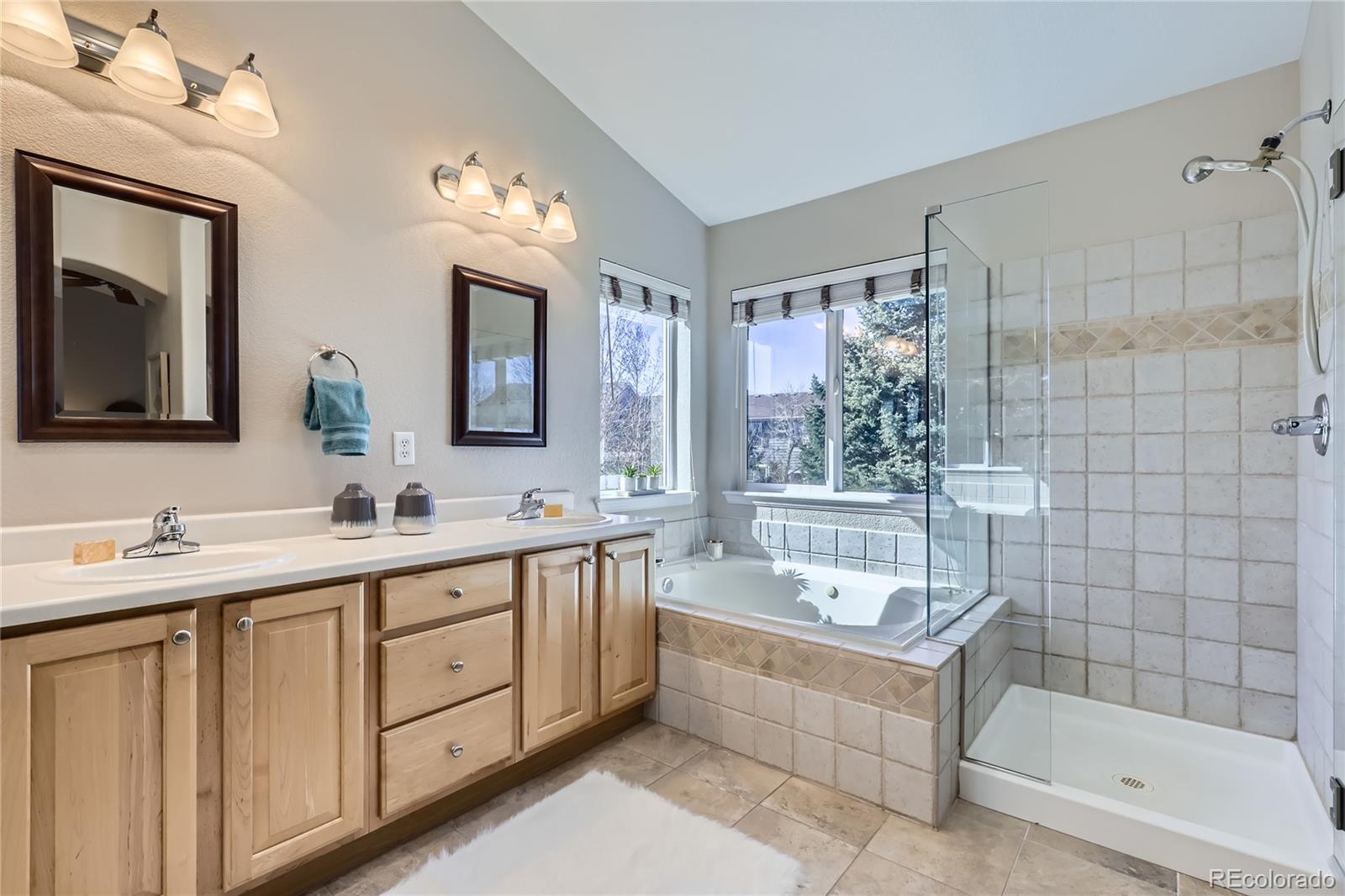 MLS Image #17 for 10273  bentwood lane,highlands ranch, Colorado