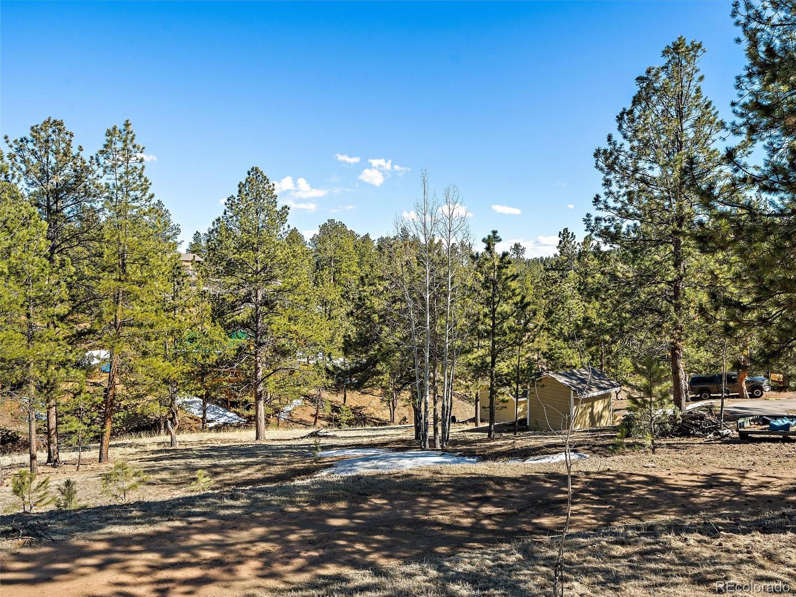 MLS Image #39 for 11834 s stallion drive,pine, Colorado