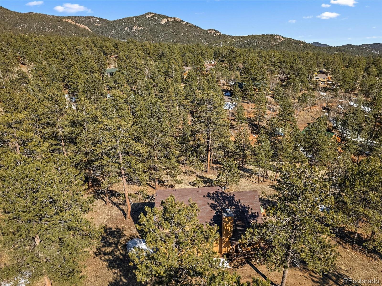 MLS Image #45 for 11834 s stallion drive,pine, Colorado