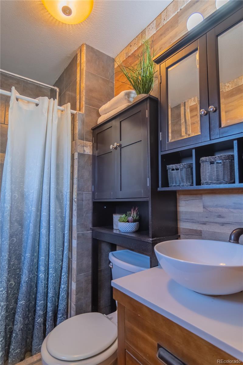 MLS Image #17 for 105  turf trail court,fountain, Colorado