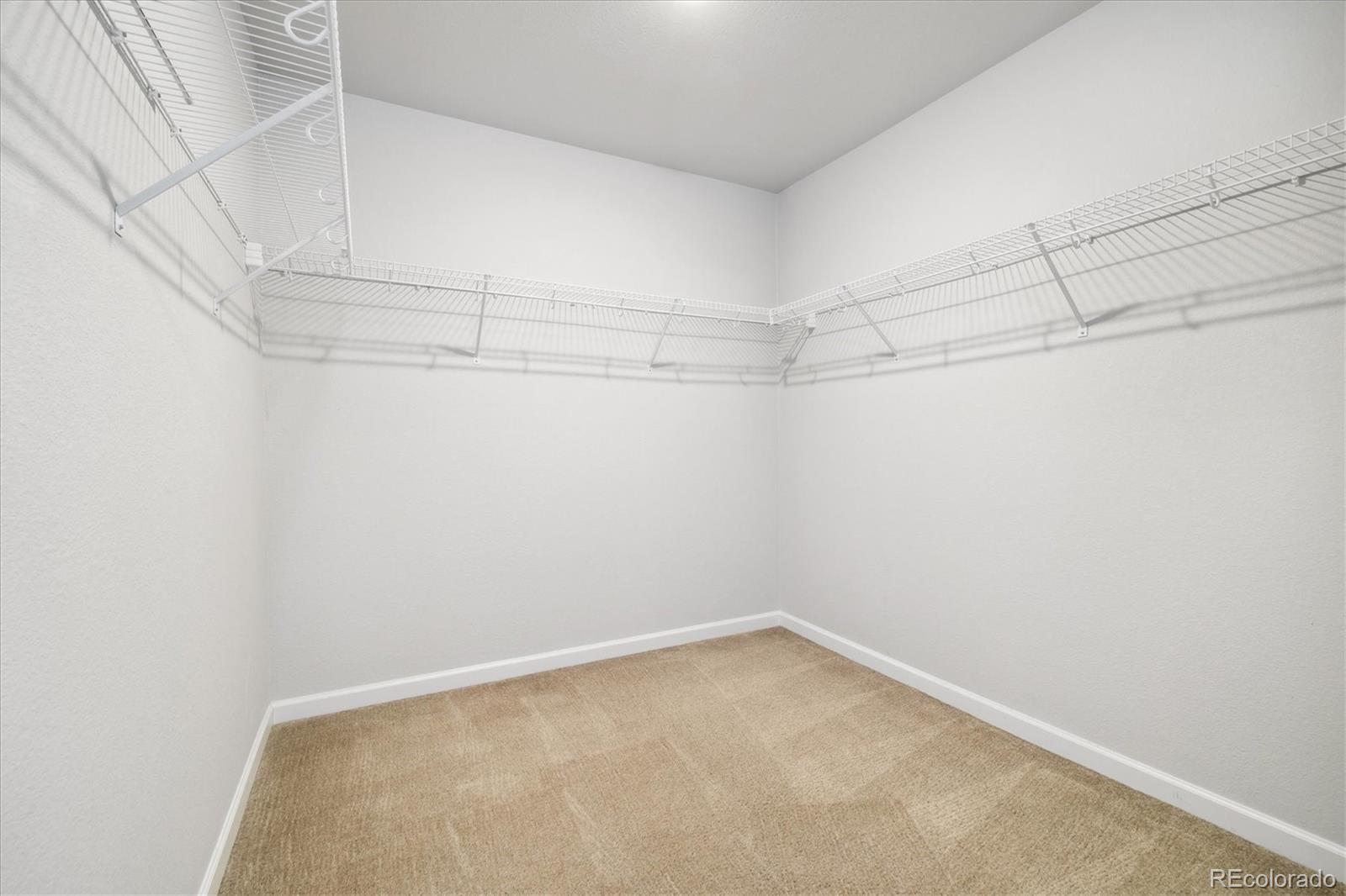 MLS Image #29 for 3438  cade court,castle rock, Colorado