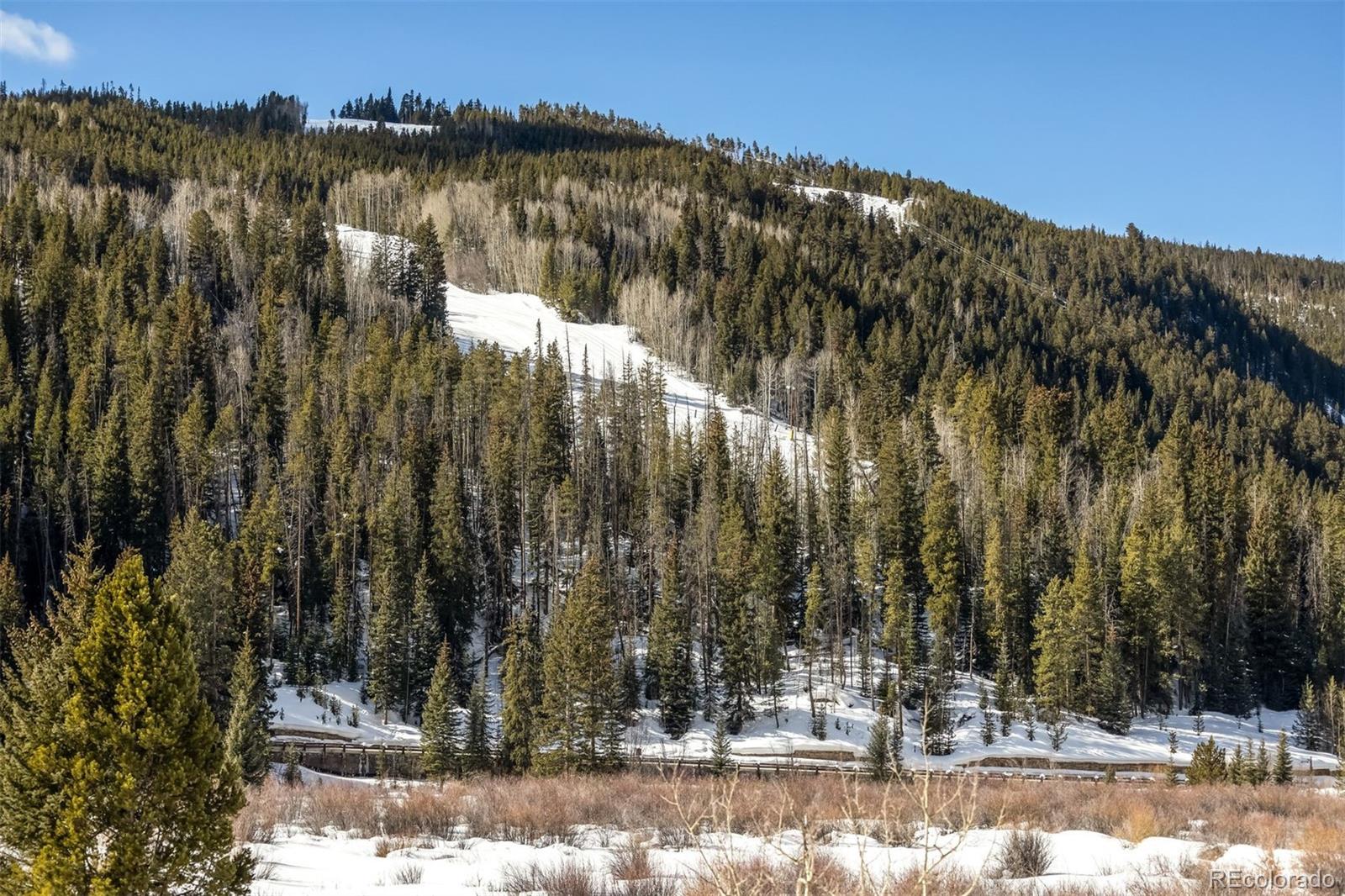 MLS Image #11 for 56  river run road,keystone, Colorado