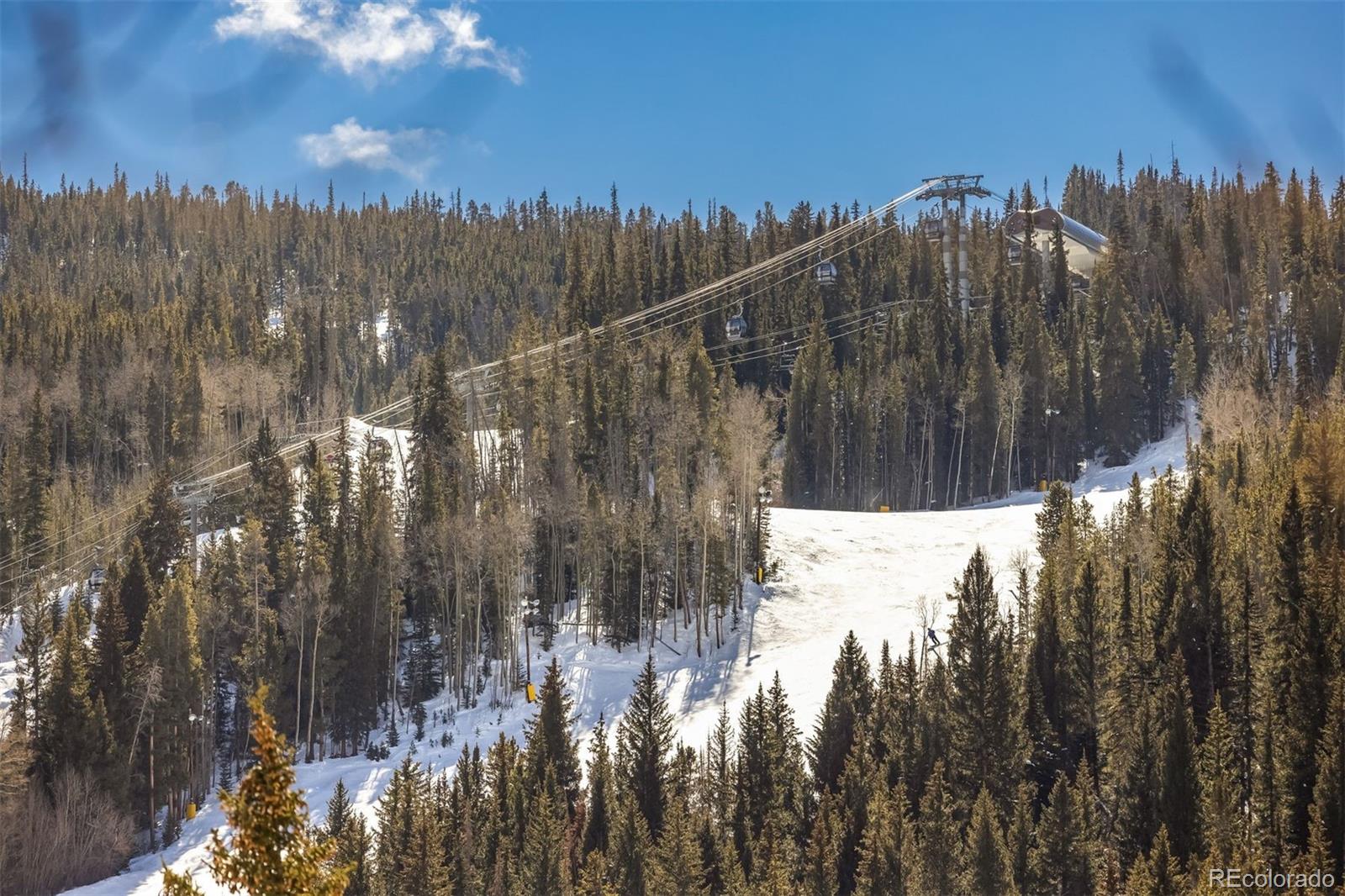 MLS Image #27 for 56  river run road,keystone, Colorado