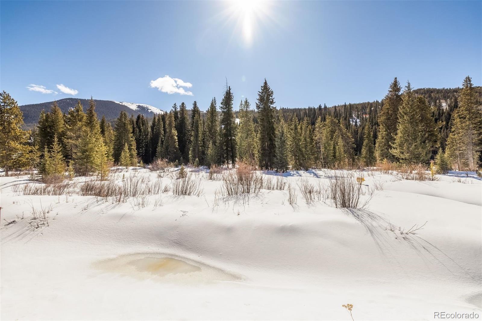 MLS Image #38 for 56  river run road,keystone, Colorado