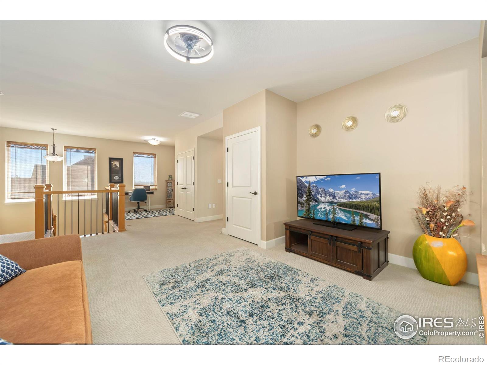 MLS Image #17 for 37159  dickerson run,severance, Colorado