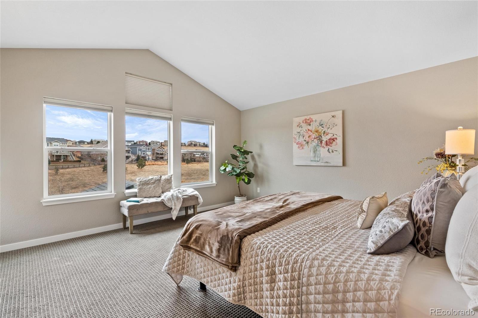 MLS Image #3 for 14284 w 88th drive,arvada, Colorado