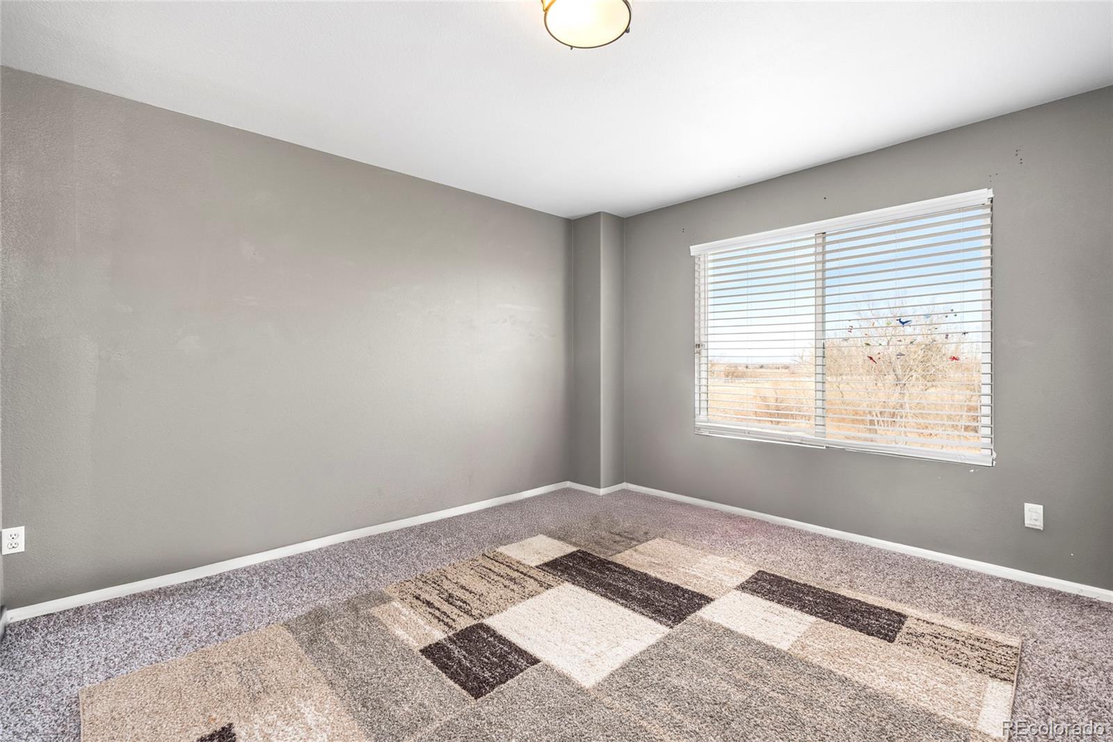 MLS Image #10 for 14803 e 117th place,brighton, Colorado