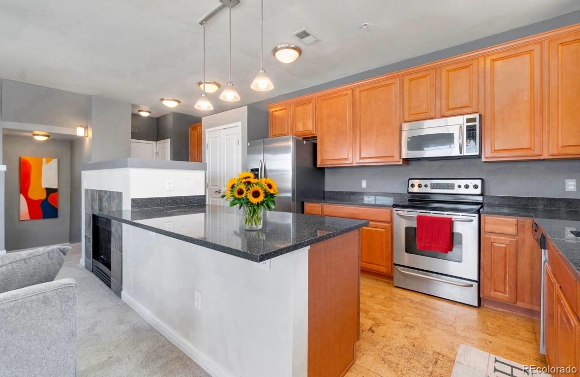 MLS Image #3 for 4100  albion street,denver, Colorado