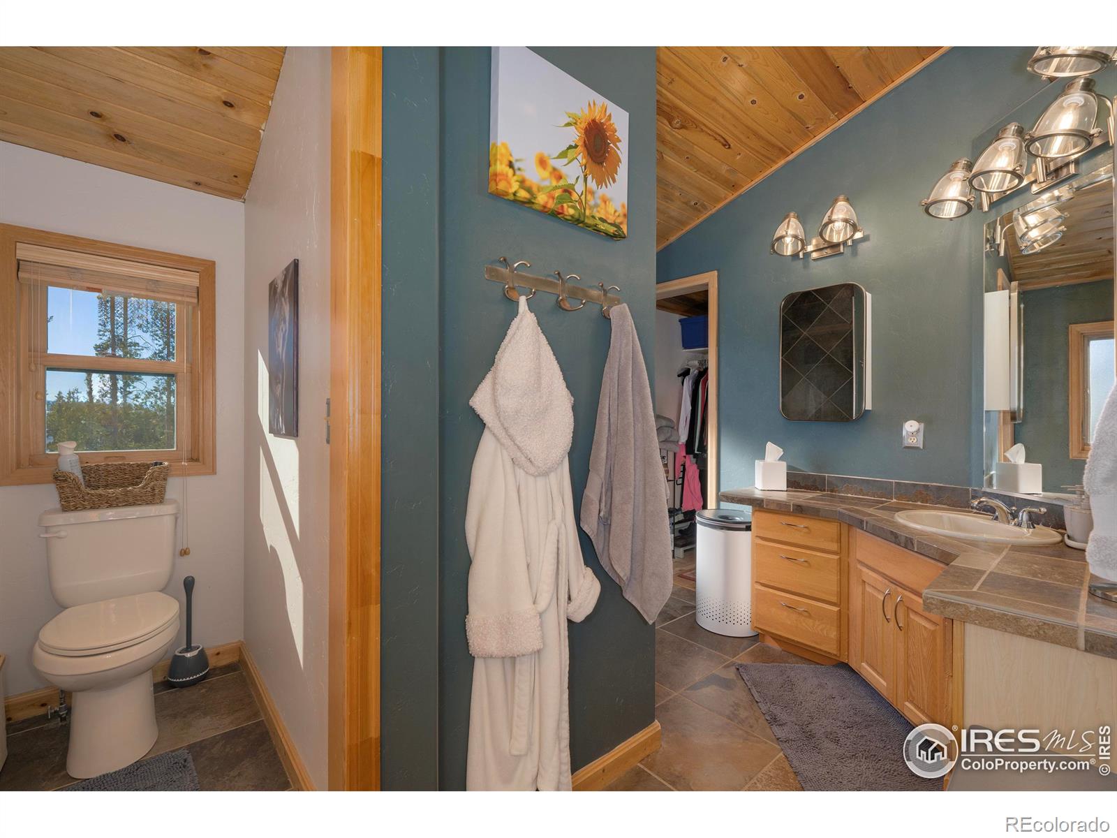 MLS Image #14 for 187  county road 469 ,grand lake, Colorado