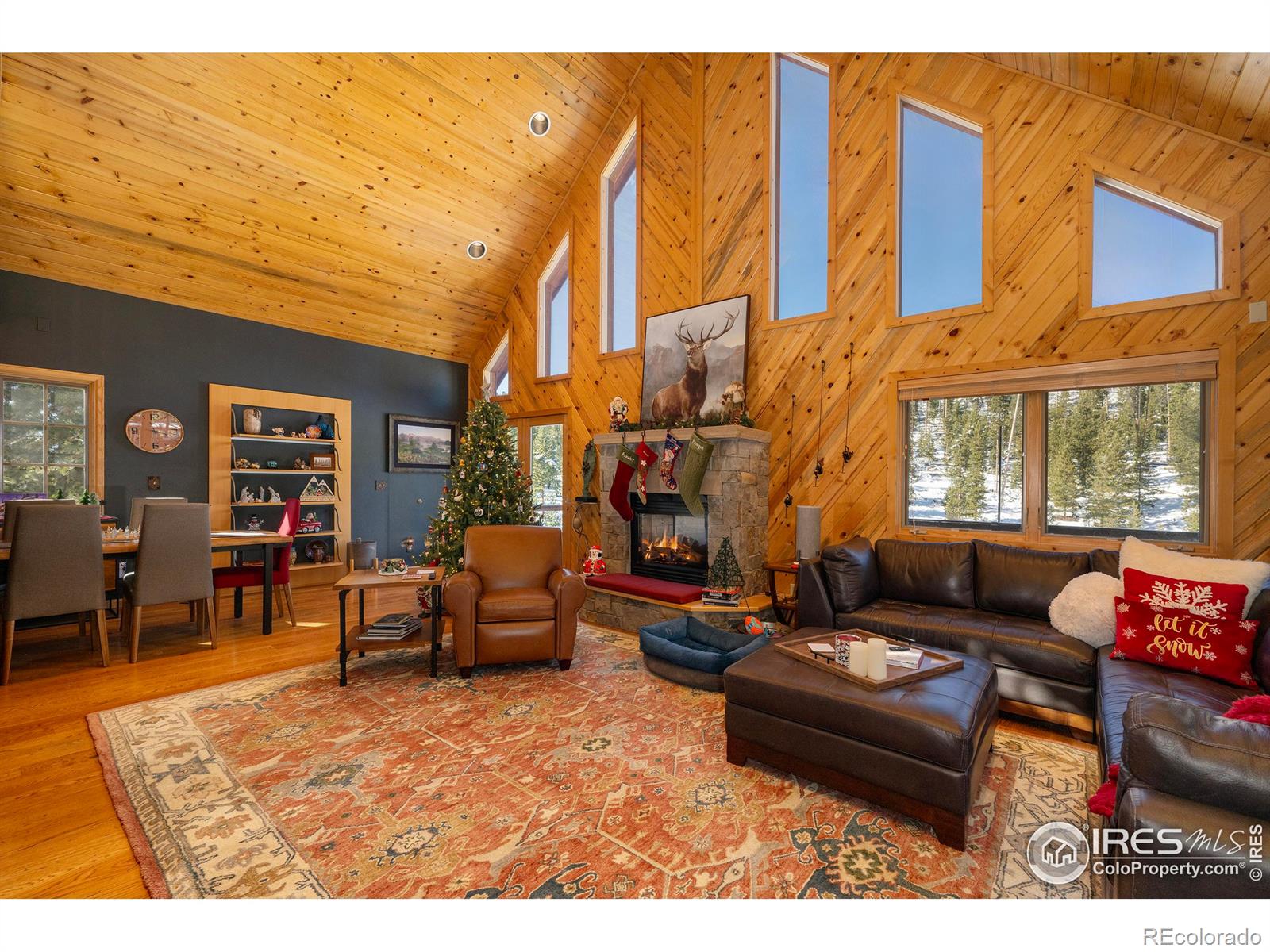 MLS Image #9 for 187  county road 469 ,grand lake, Colorado