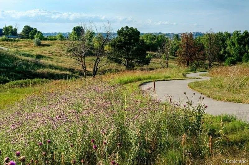 MLS Image #49 for 9035 s shawnee court,aurora, Colorado