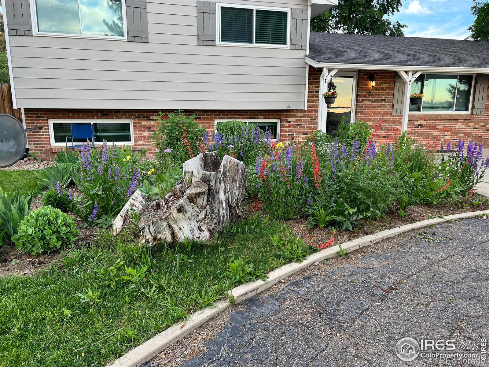 MLS Image #4 for 15447  huron street,broomfield, Colorado