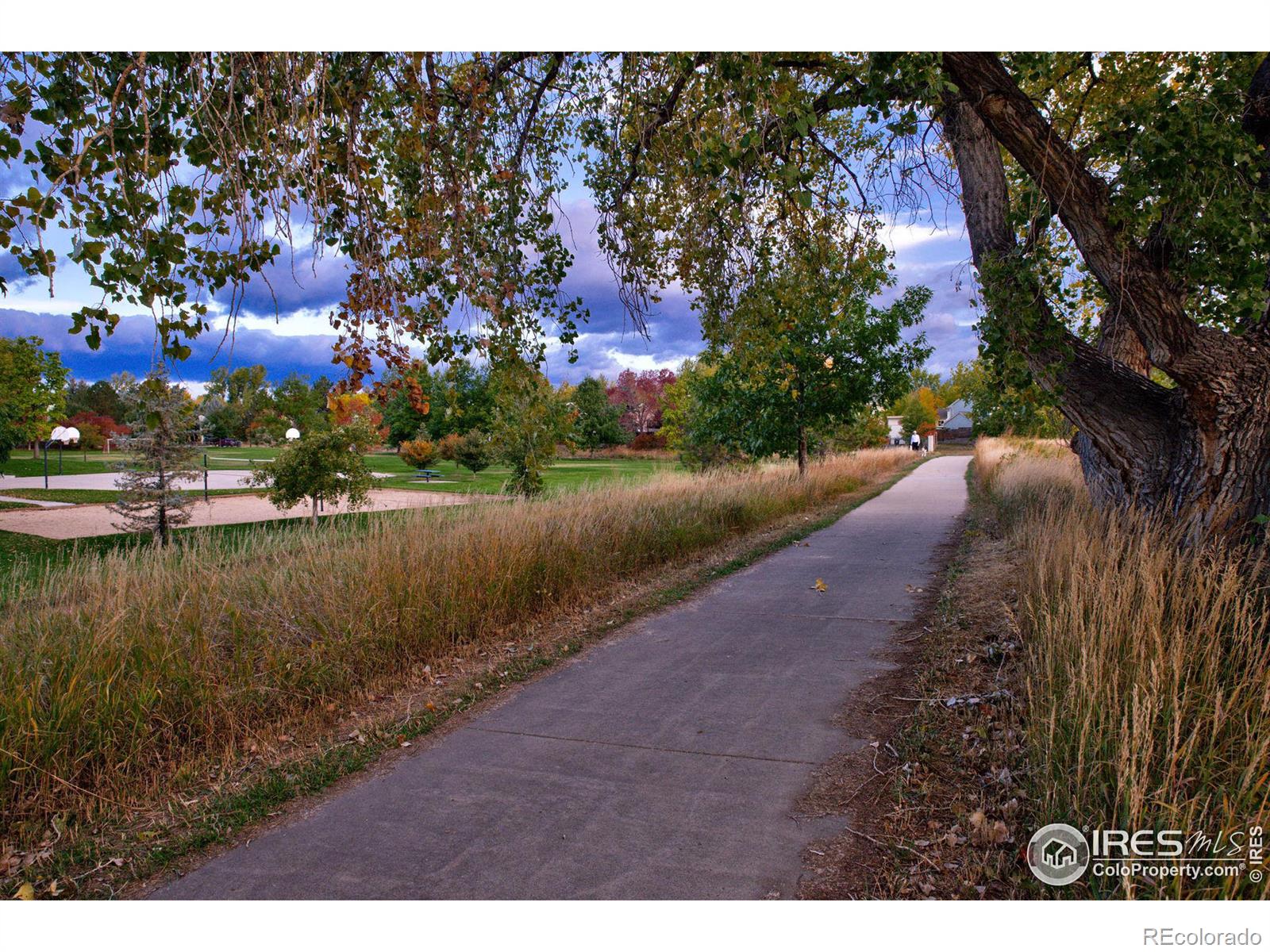 MLS Image #32 for 720 w dahlia street,louisville, Colorado