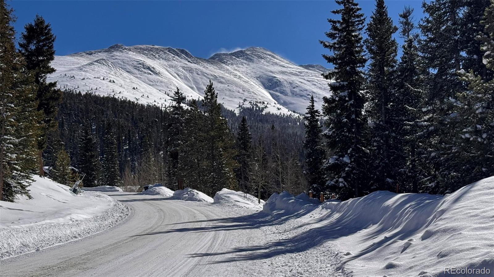 MLS Image #21 for 223 s fuller placer road,breckenridge, Colorado