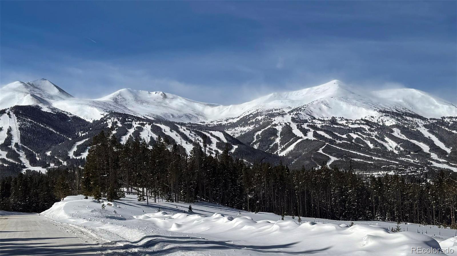 MLS Image #22 for 223 s fuller placer road,breckenridge, Colorado