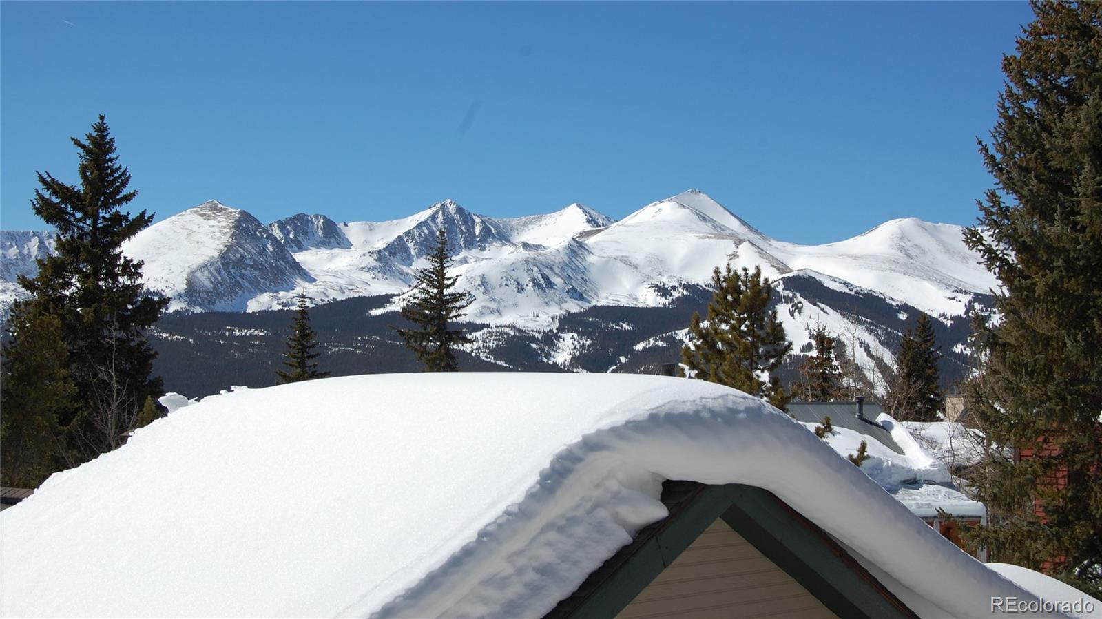 MLS Image #23 for 223 s fuller placer road,breckenridge, Colorado