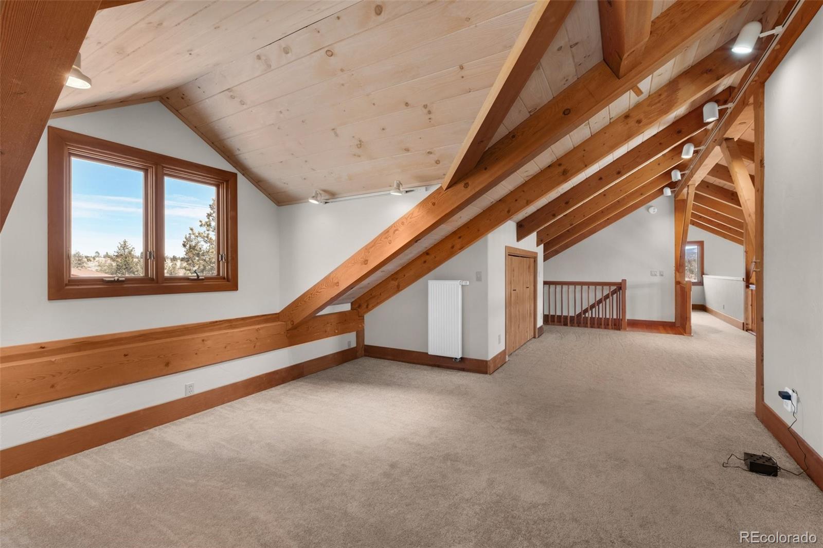 MLS Image #18 for 436  hawk lane,florissant, Colorado
