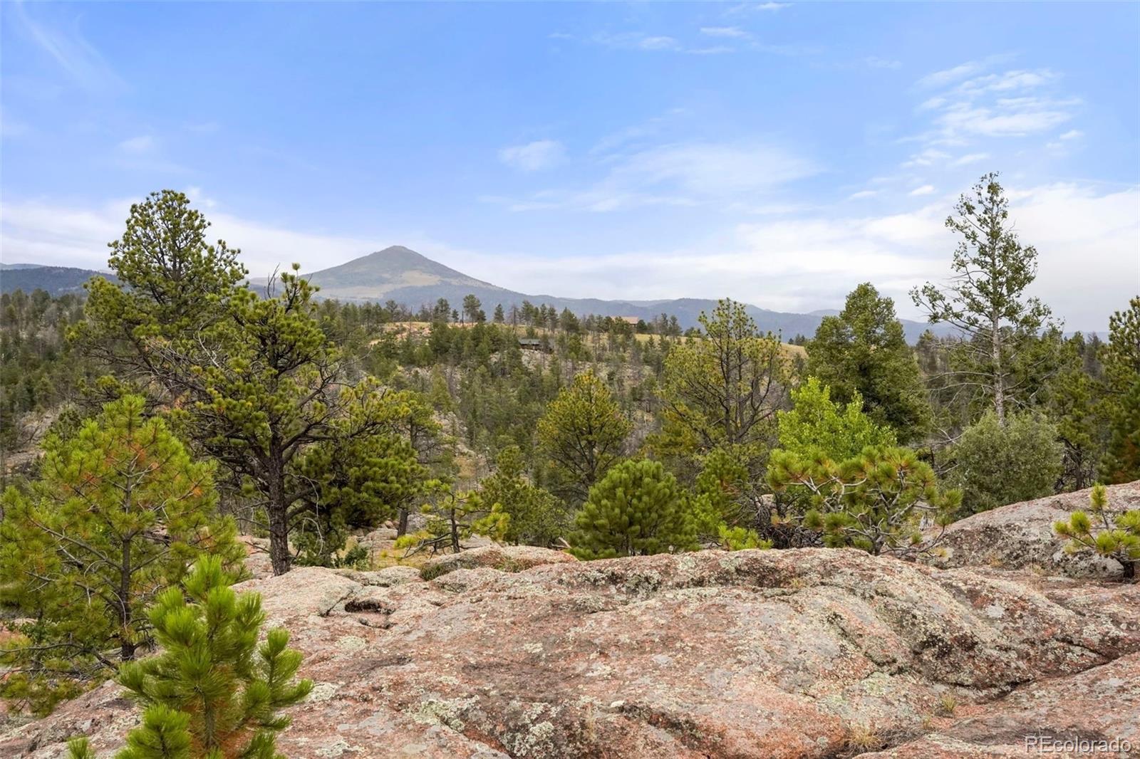 MLS Image #27 for 436  hawk lane,florissant, Colorado