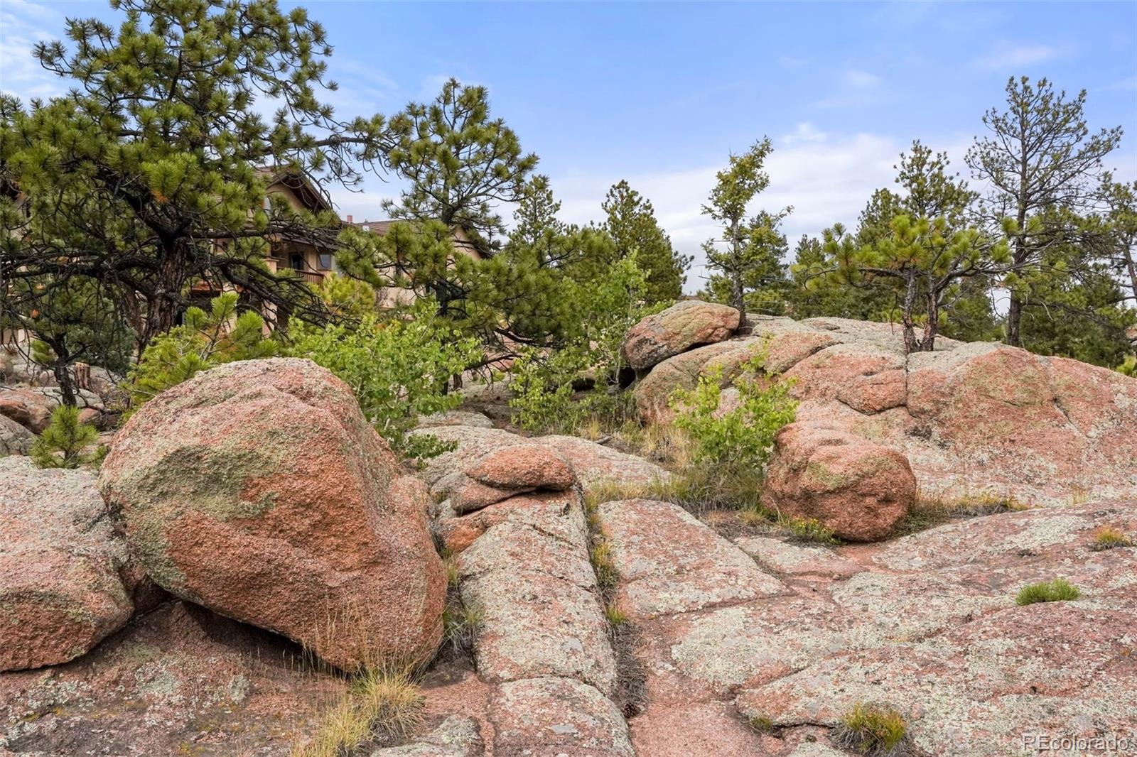MLS Image #29 for 436  hawk lane,florissant, Colorado