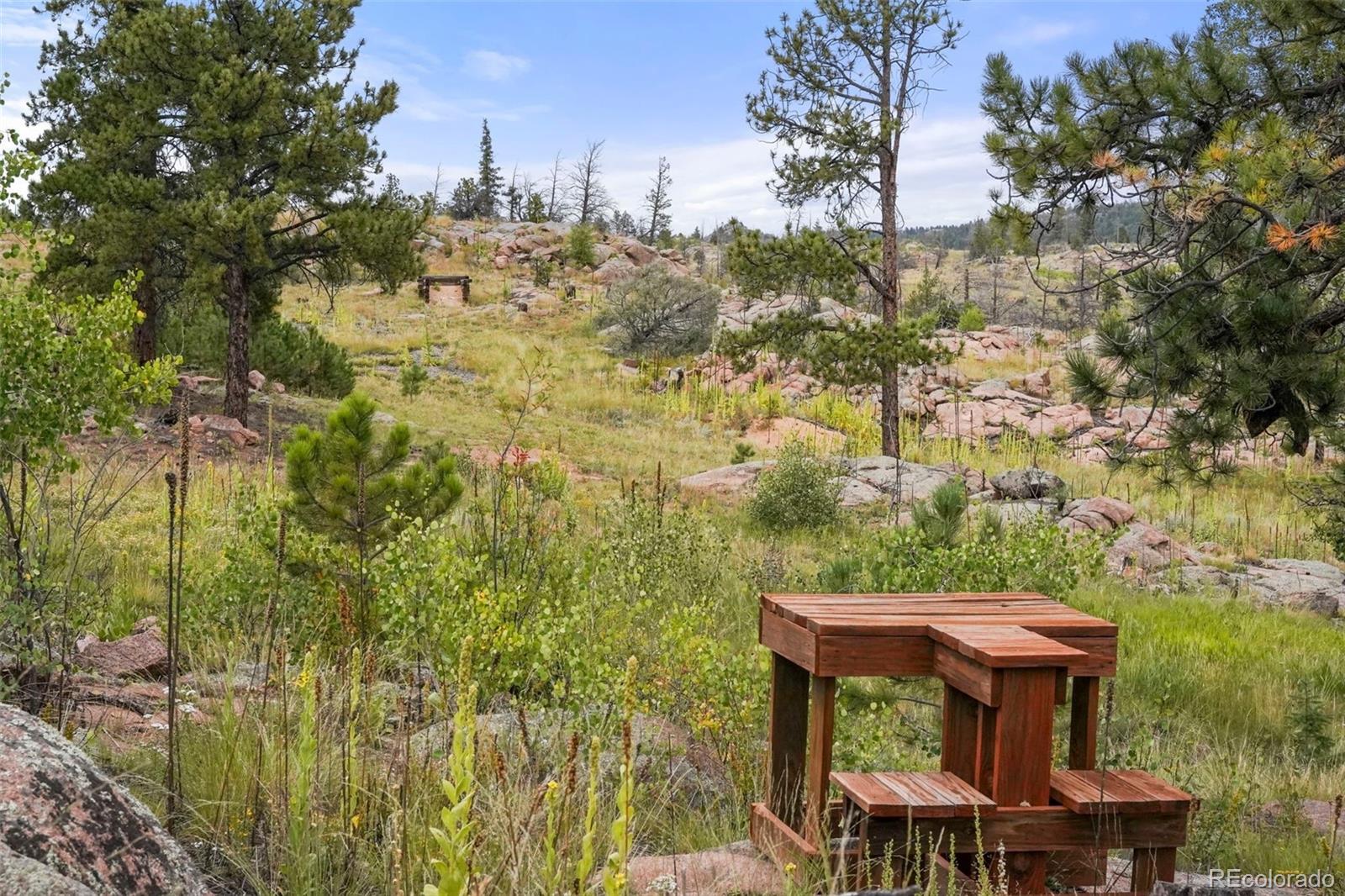 MLS Image #30 for 436  hawk lane,florissant, Colorado