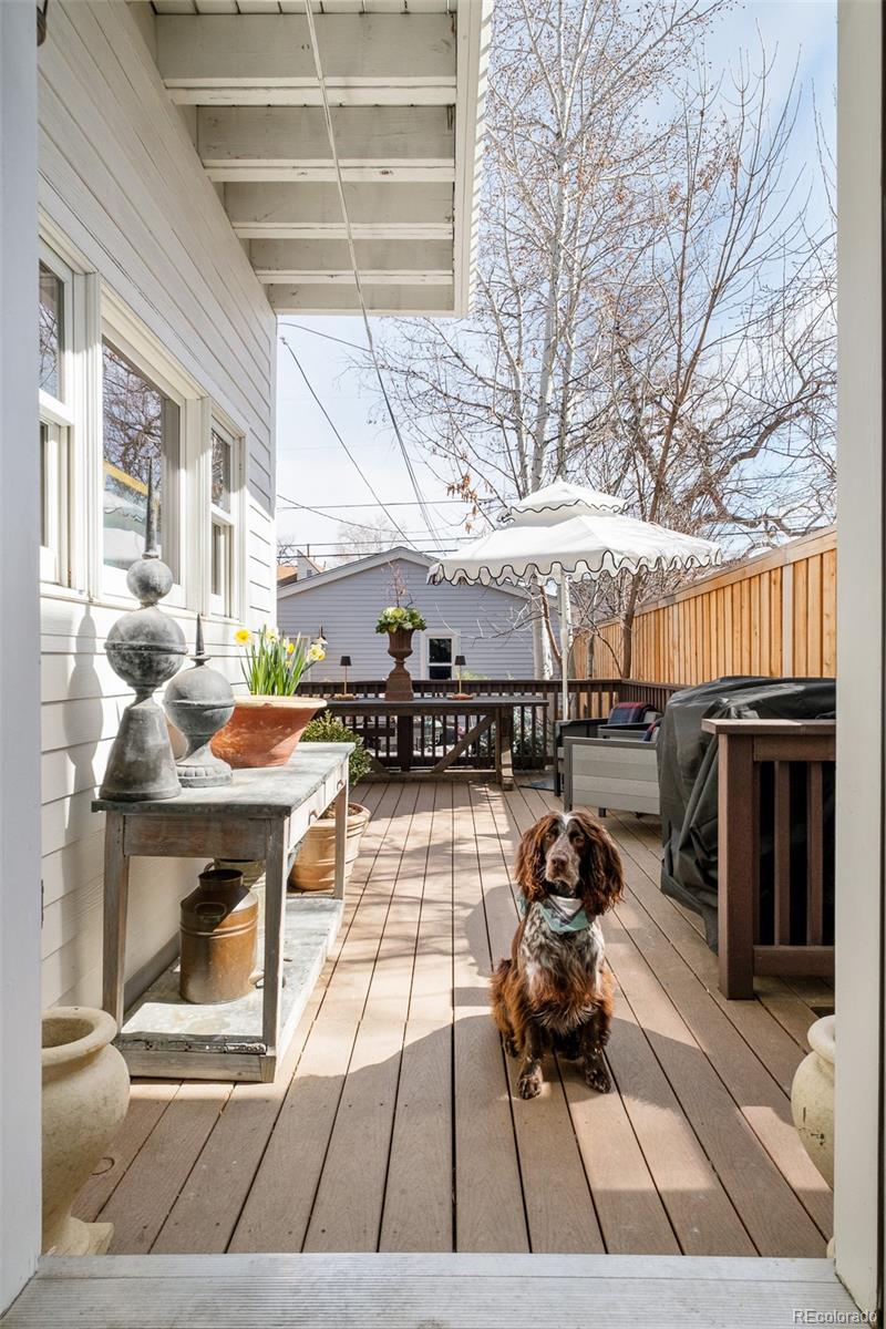 MLS Image #31 for 432 n ogden street,denver, Colorado