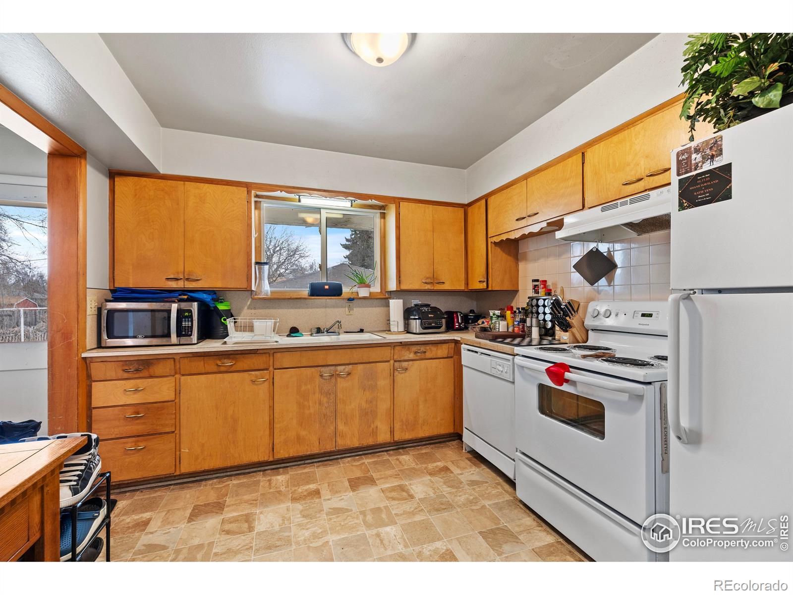 MLS Image #8 for 603 e prospect road,fort collins, Colorado