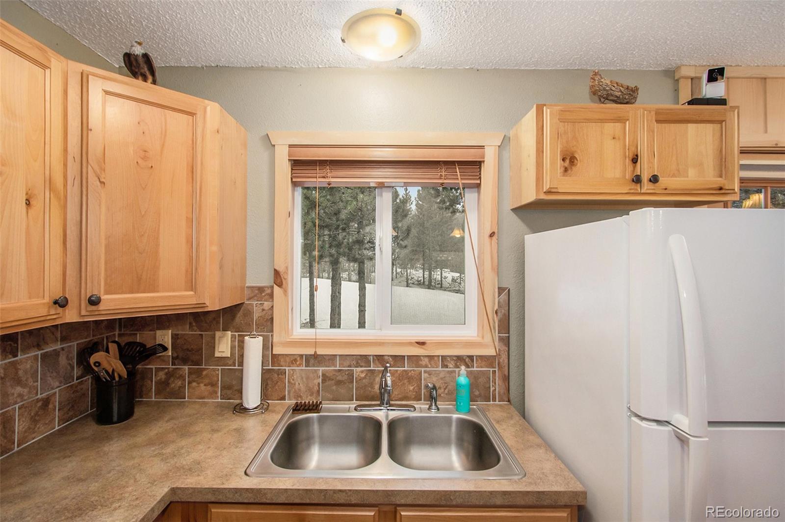 MLS Image #12 for 483  hatchetumi drive,red feather lakes, Colorado