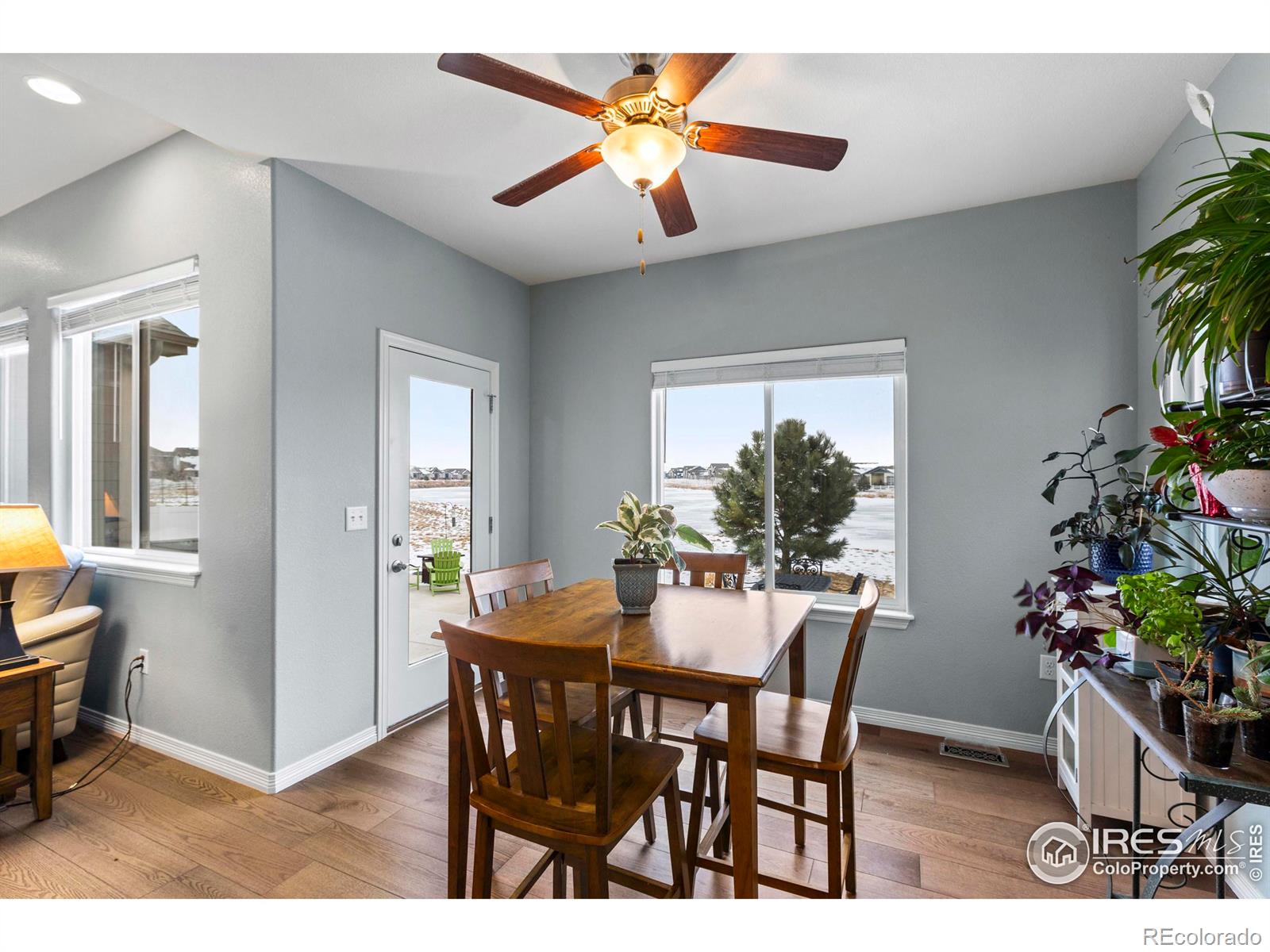 MLS Image #15 for 480  boxwood drive,windsor, Colorado