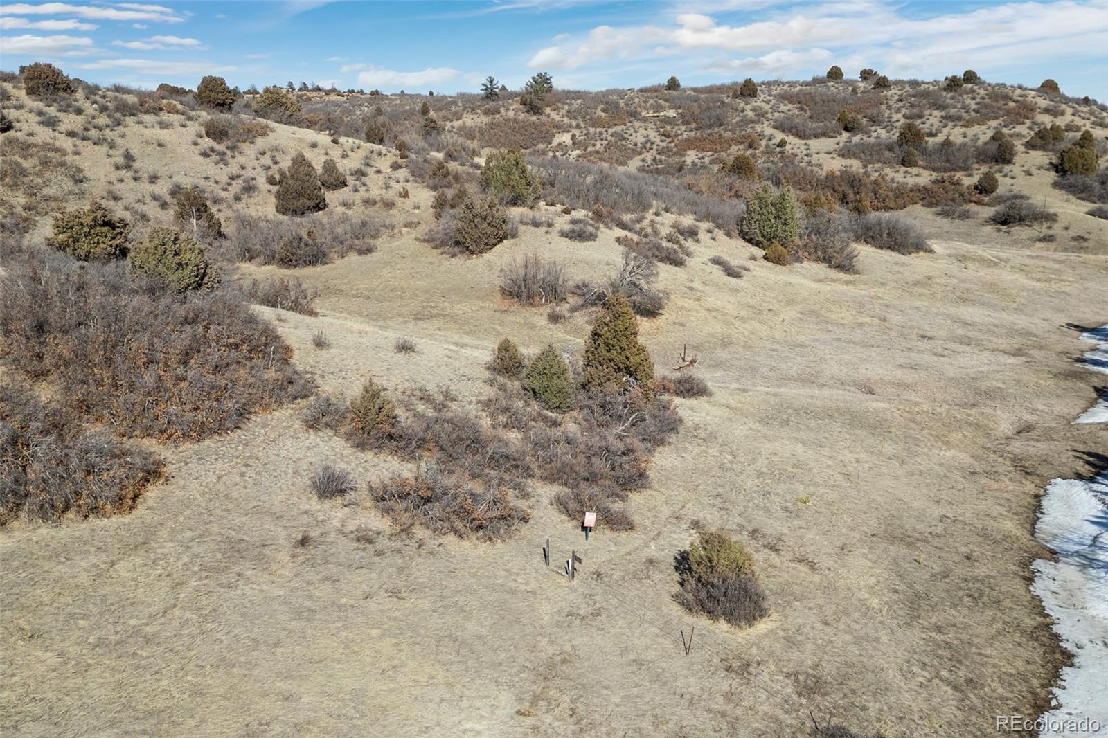 MLS Image #4 for 4249  oak grove way,castle rock, Colorado