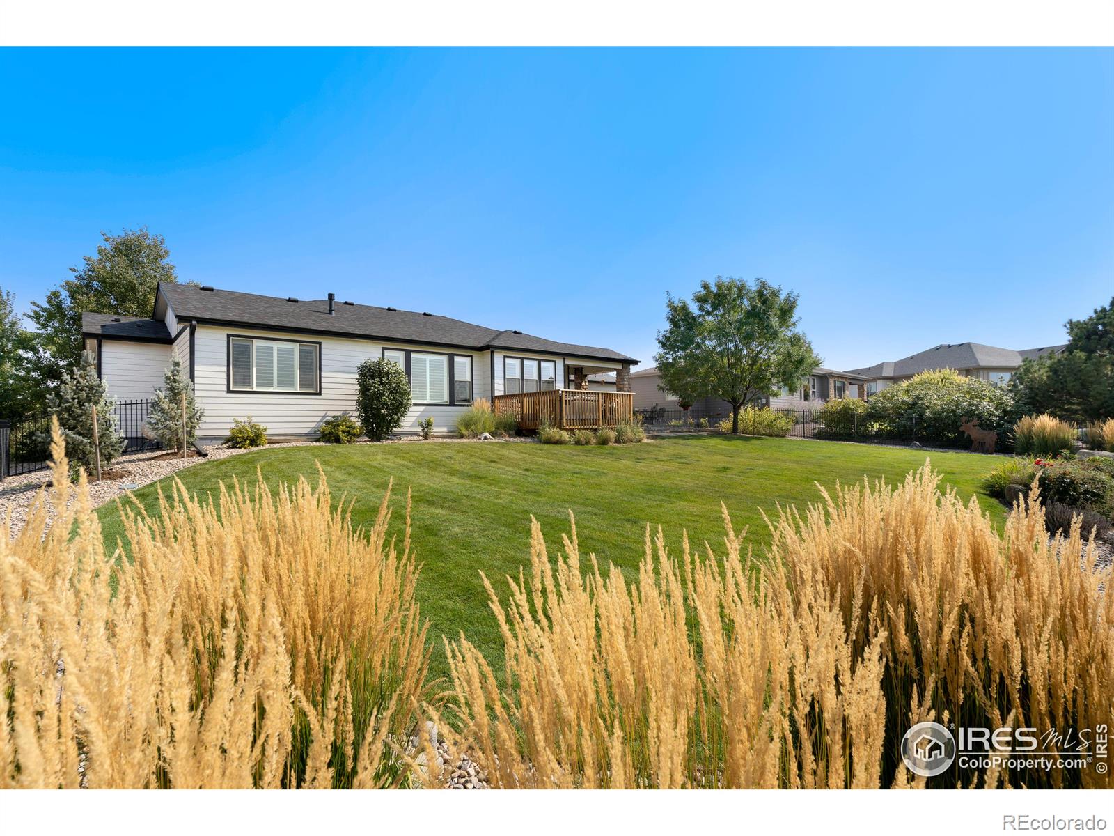 MLS Image #27 for 7304  crystal downs drive,windsor, Colorado