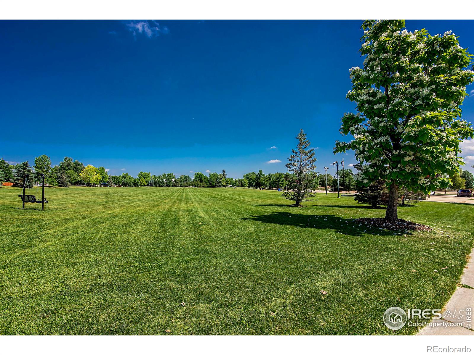 MLS Image #33 for 359 s jefferson avenue,louisville, Colorado