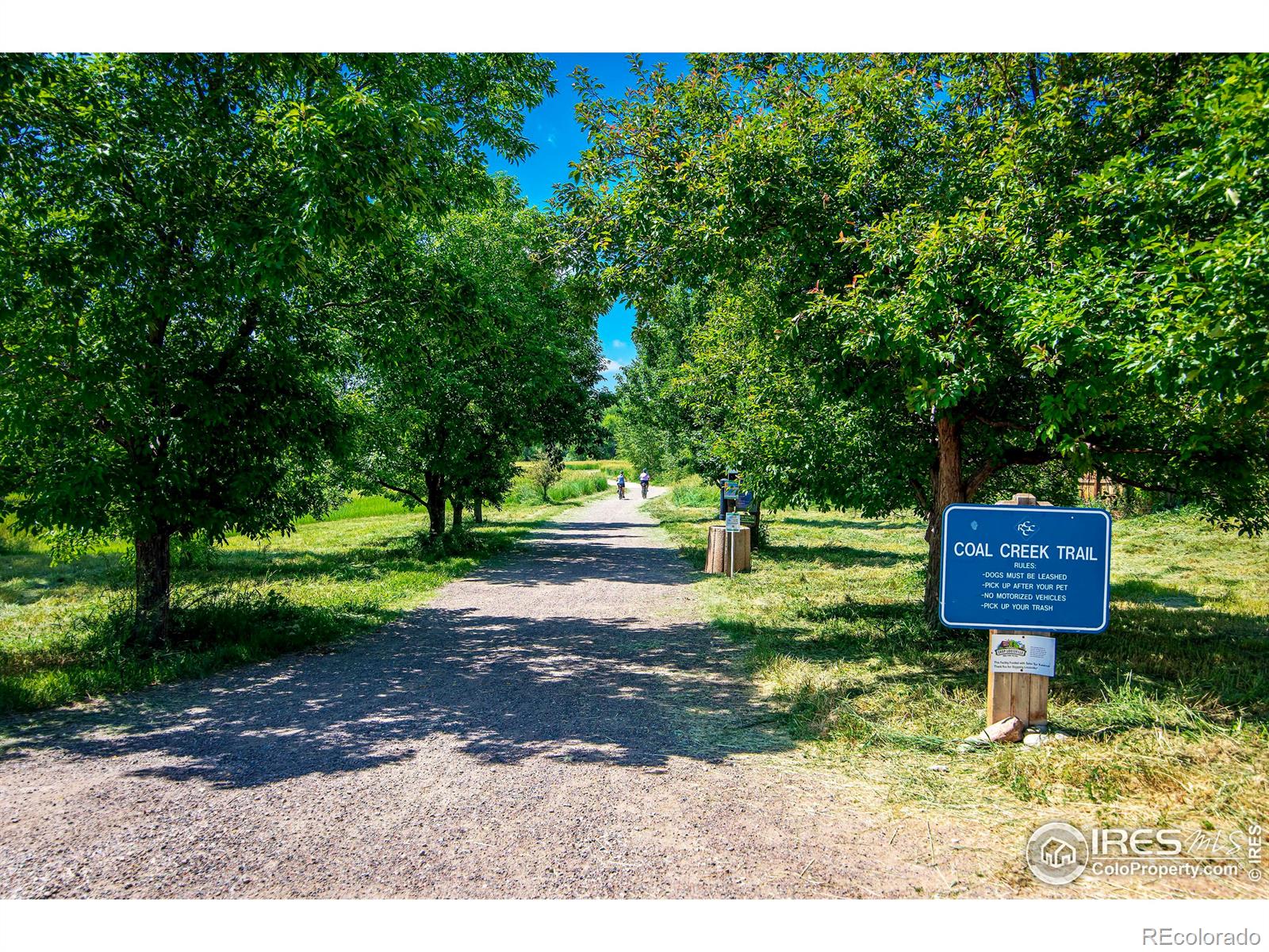 MLS Image #38 for 359 s jefferson avenue,louisville, Colorado