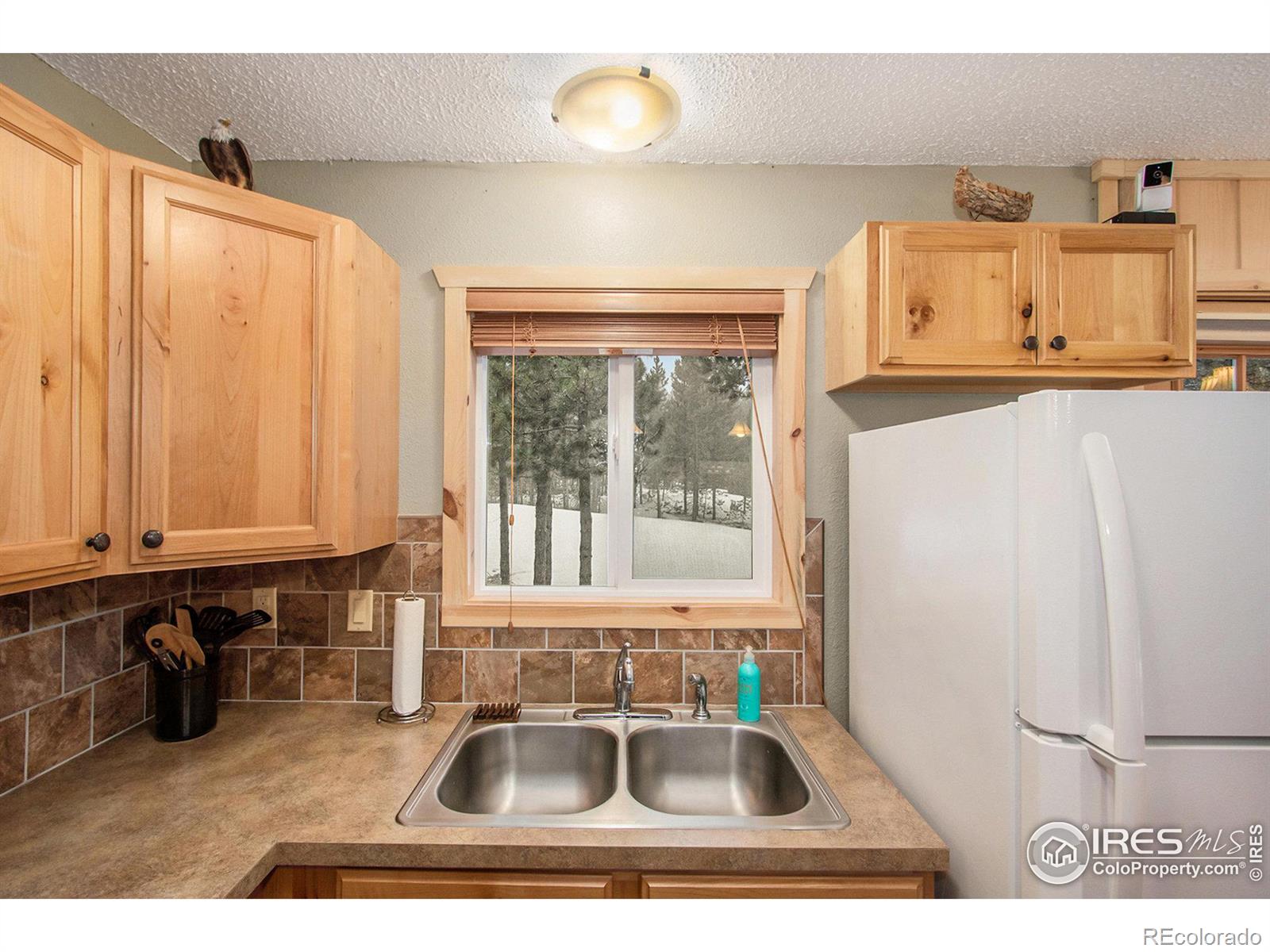 MLS Image #11 for 483  hatchetumi drive,red feather lakes, Colorado