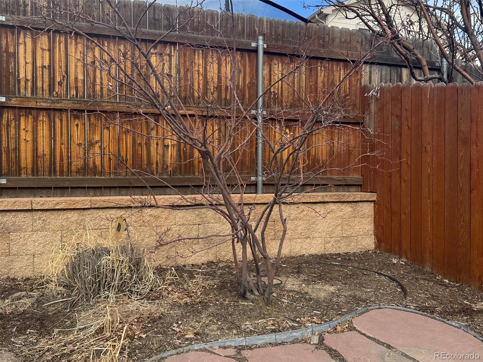 MLS Image #34 for 901 s cascade avenue,colorado springs, Colorado