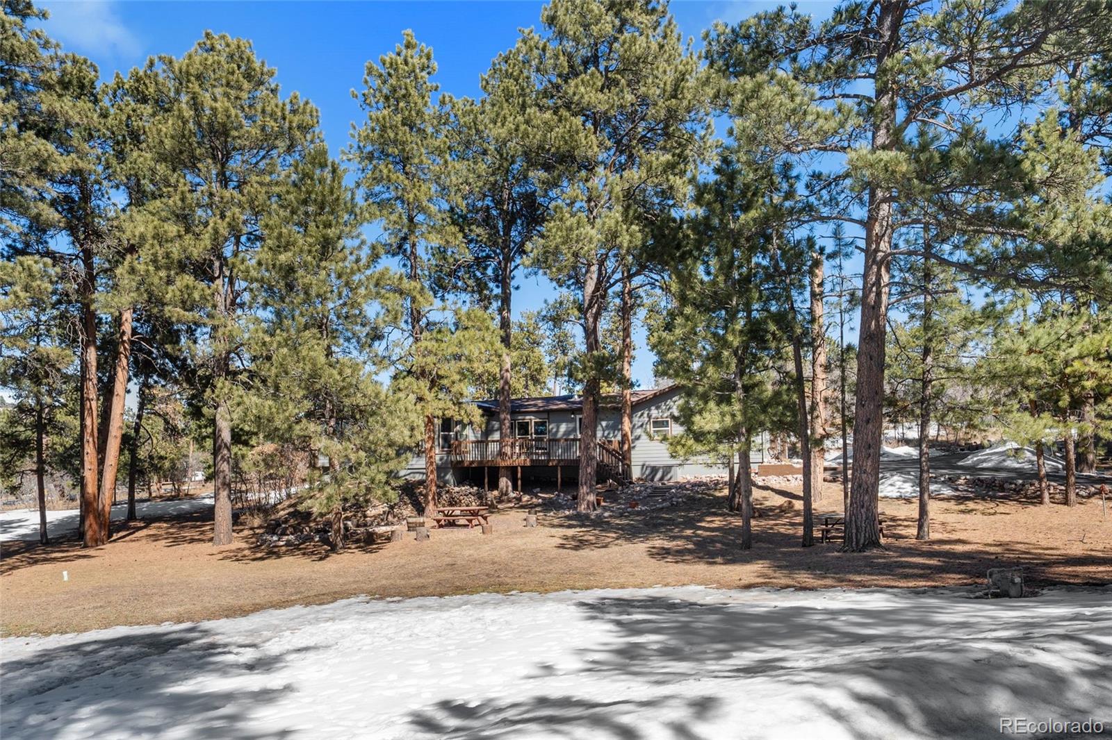 MLS Image #5 for 2859  cagle drive,larkspur, Colorado