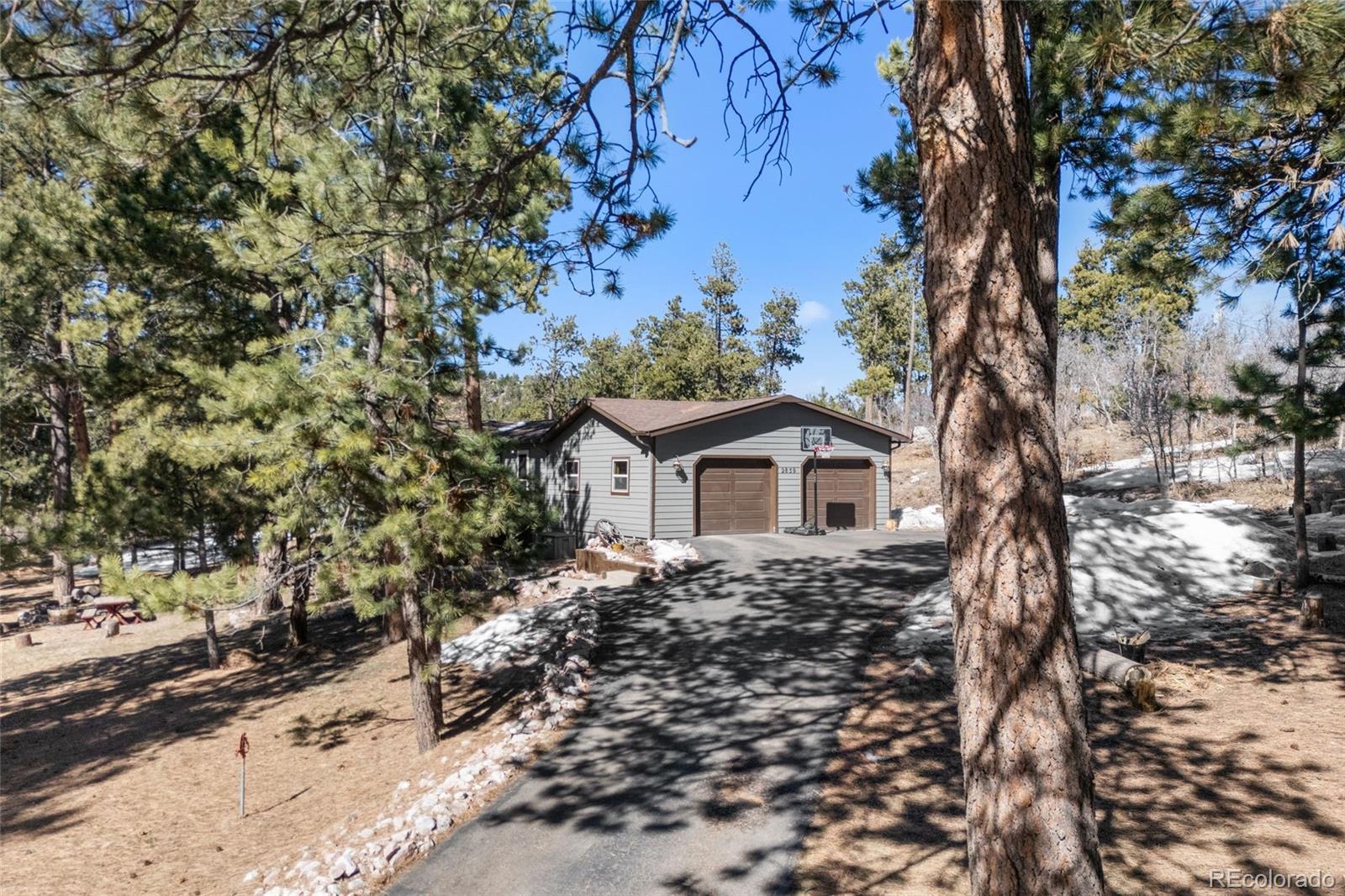 MLS Image #6 for 2859  cagle drive,larkspur, Colorado