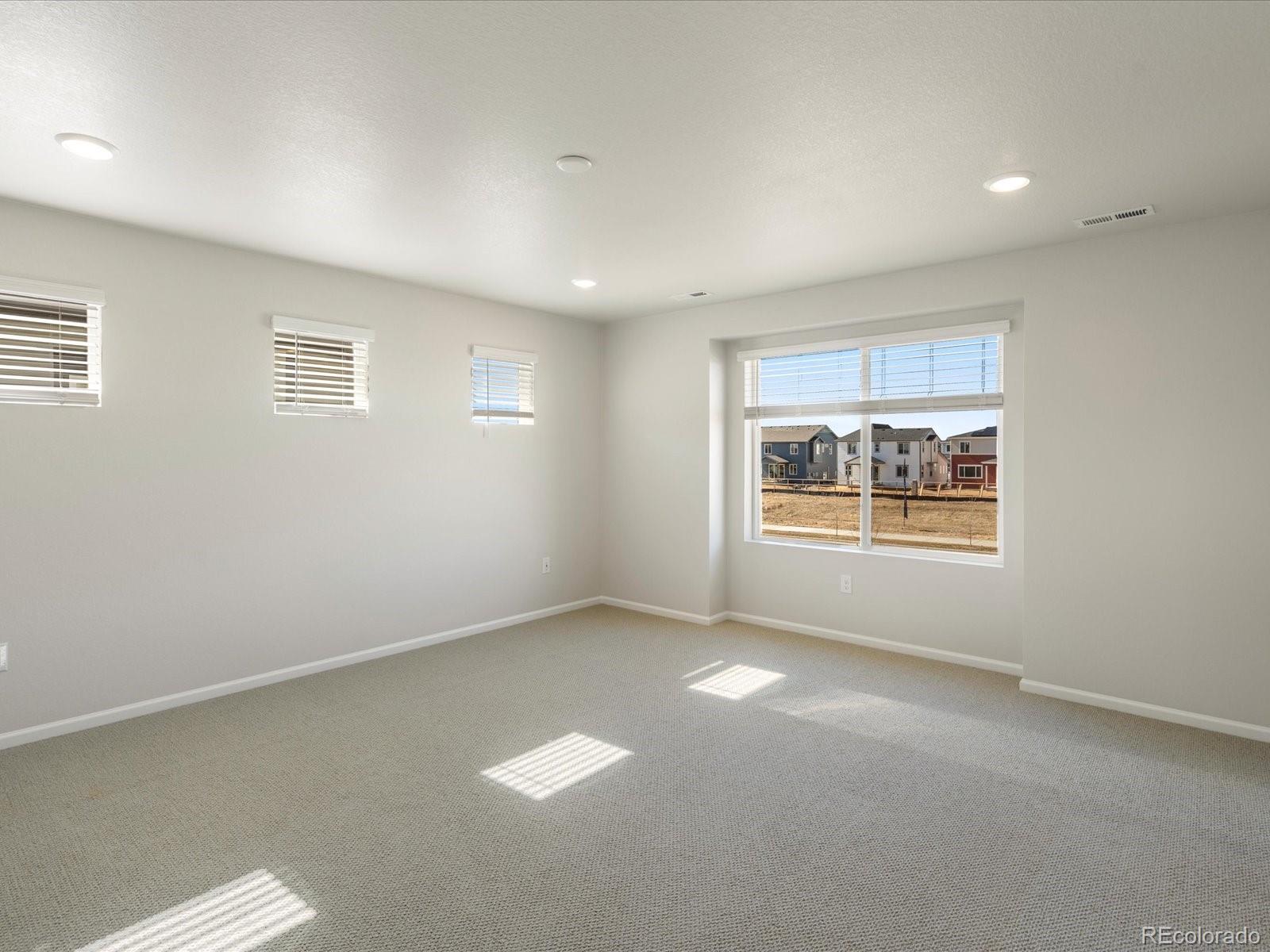 MLS Image #10 for 6083  sugarloaf street,brighton, Colorado