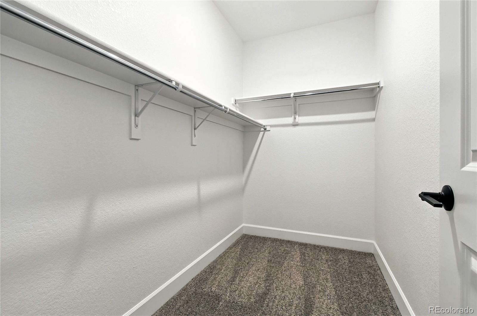 MLS Image #27 for 4284  ridgewalk point,castle rock, Colorado