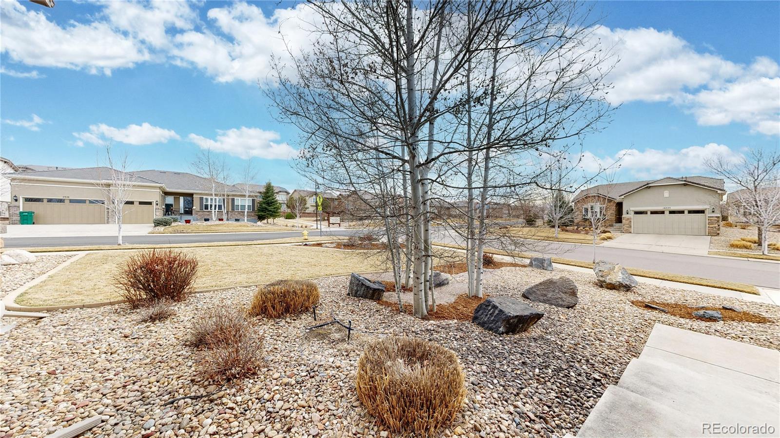 MLS Image #4 for 16224  cirque mountain way,broomfield, Colorado