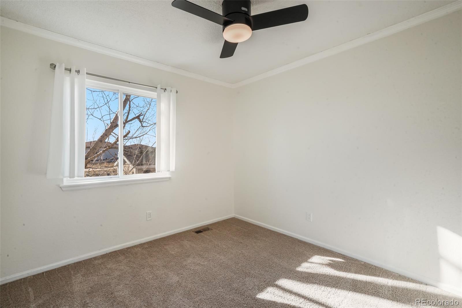 MLS Image #18 for 3829  odessa street,denver, Colorado