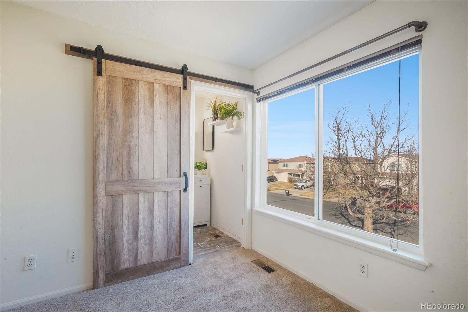 MLS Image #29 for 3829  odessa street,denver, Colorado