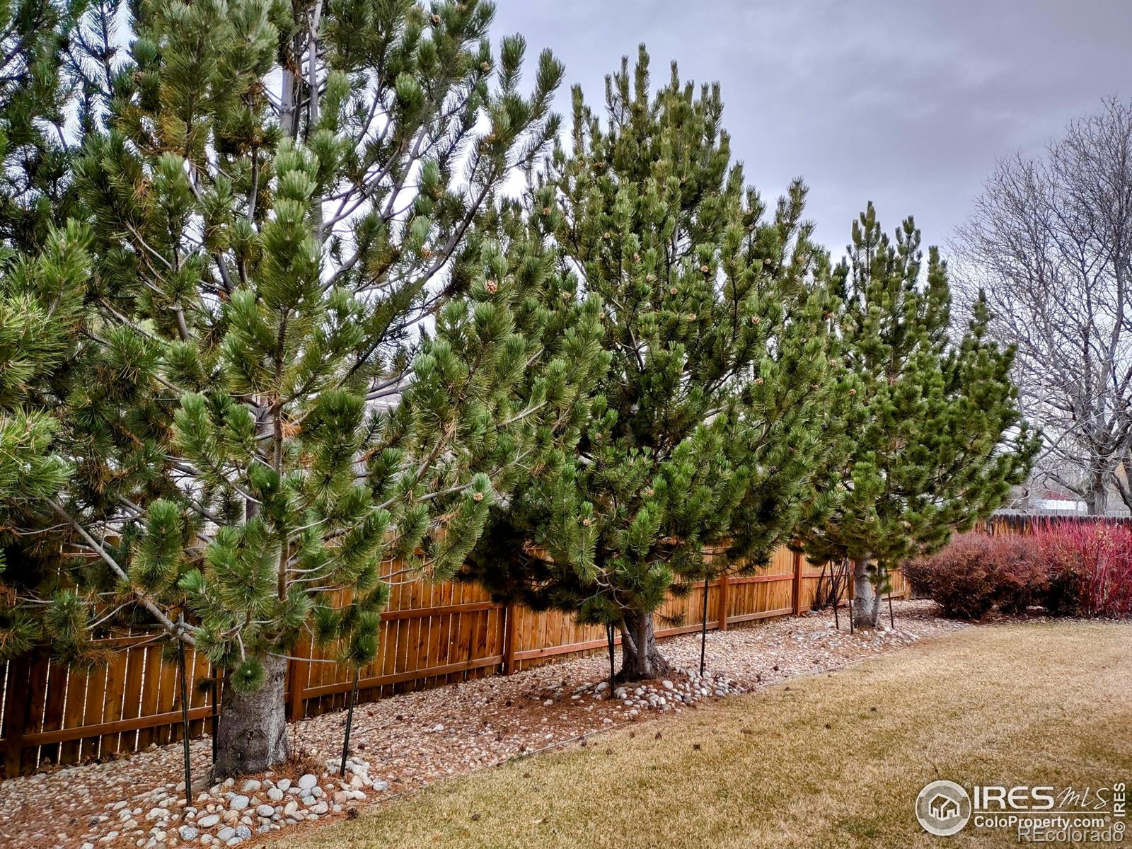 MLS Image #30 for 1191  twin peaks circle,longmont, Colorado