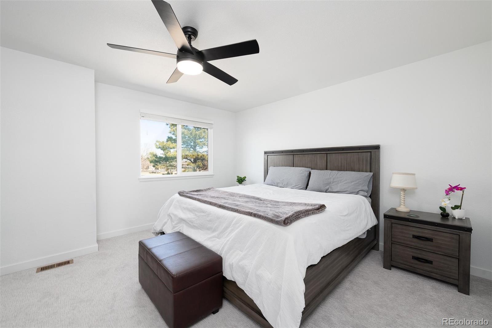 MLS Image #13 for 4485 e andover avenue,castle rock, Colorado