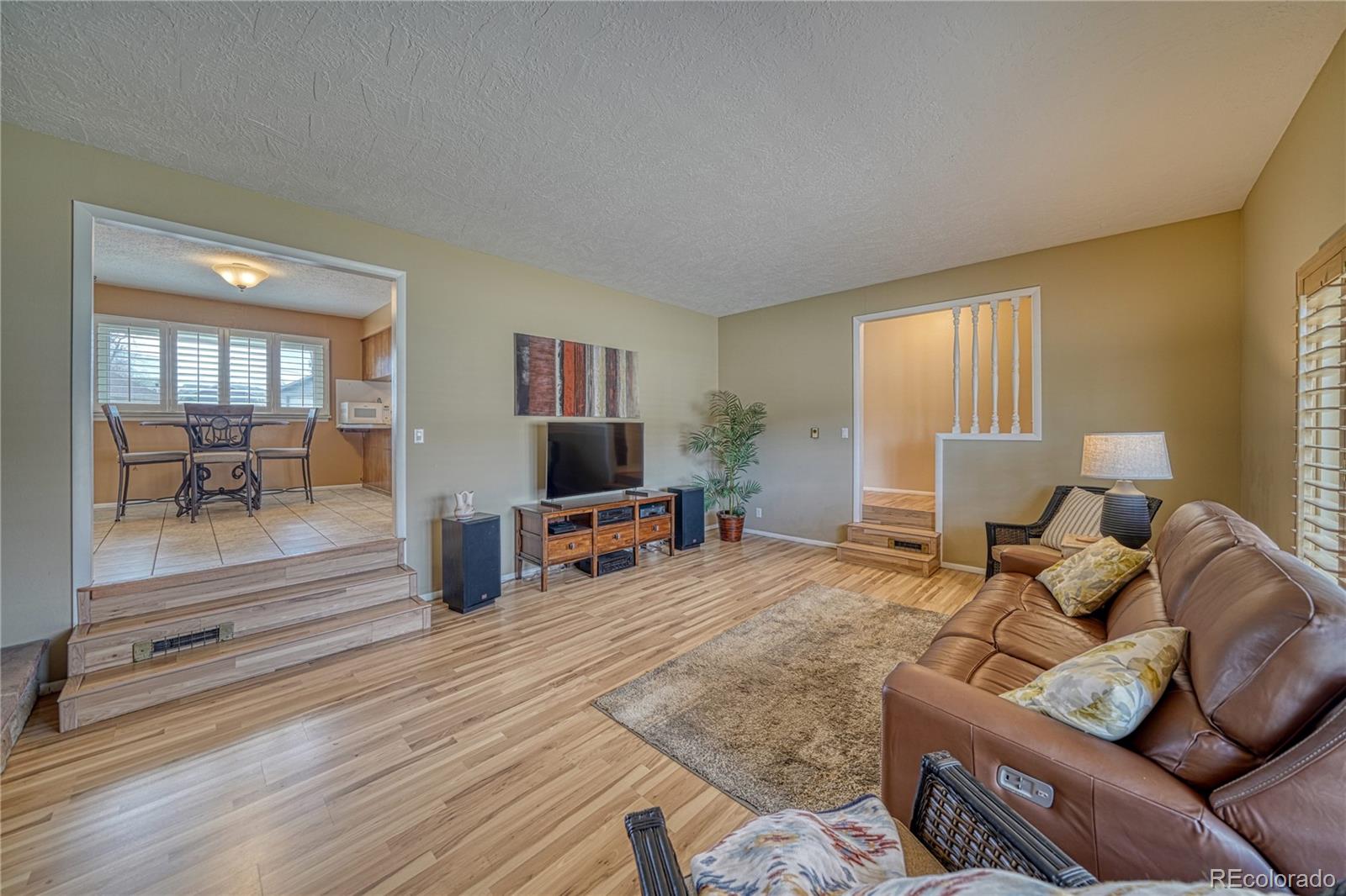 MLS Image #10 for 303  crestone avenue,salida, Colorado