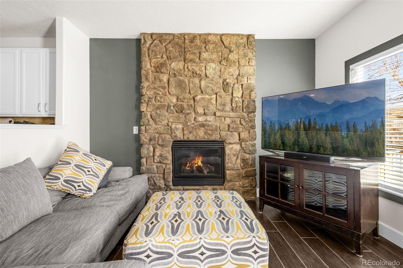 MLS Image #13 for 22134  wintergreen way,parker, Colorado