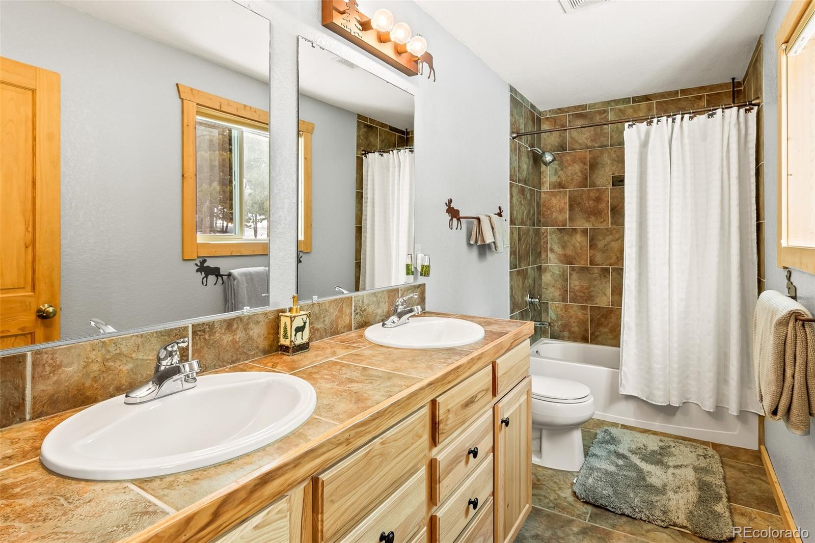 MLS Image #23 for 407  puma place,fairplay, Colorado