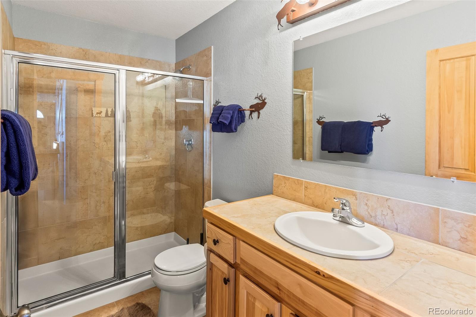 MLS Image #28 for 407  puma place,fairplay, Colorado